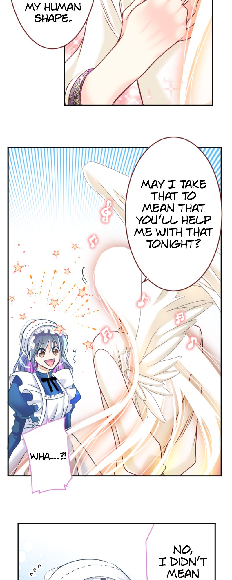 55536527 800 2000 213508